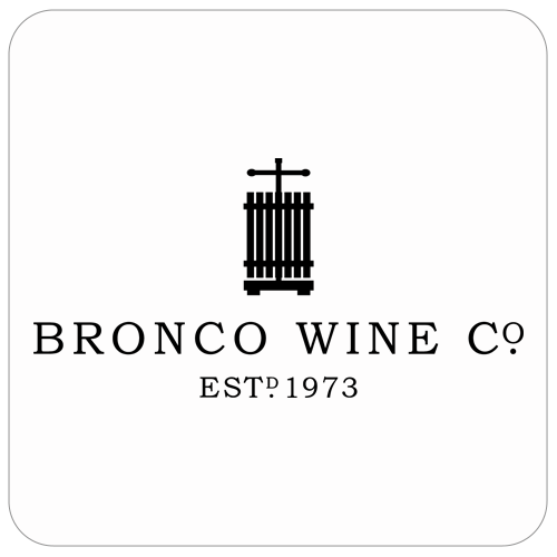 nne.logo.bronco