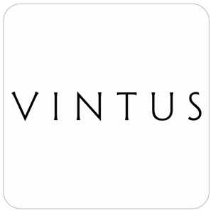 nne.logo.vintus